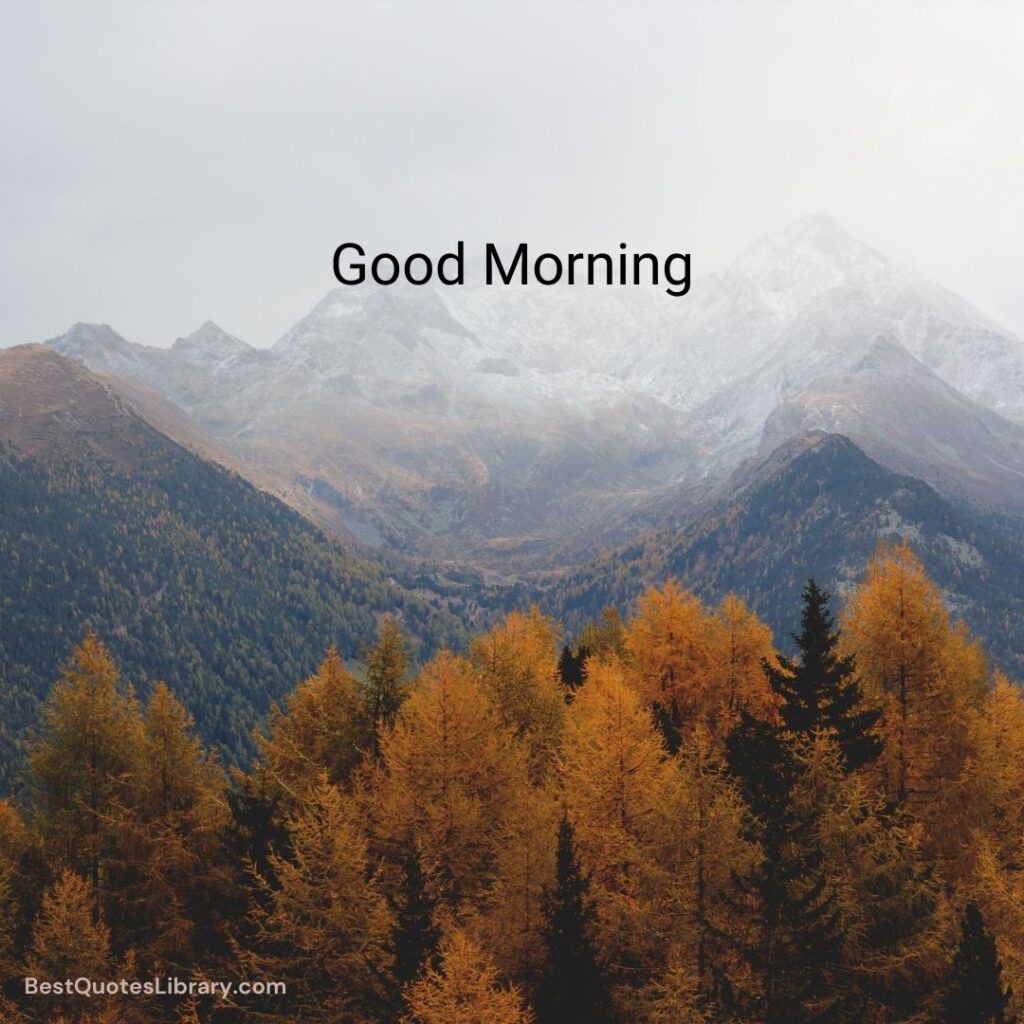 A beautiful morning nature with mountain