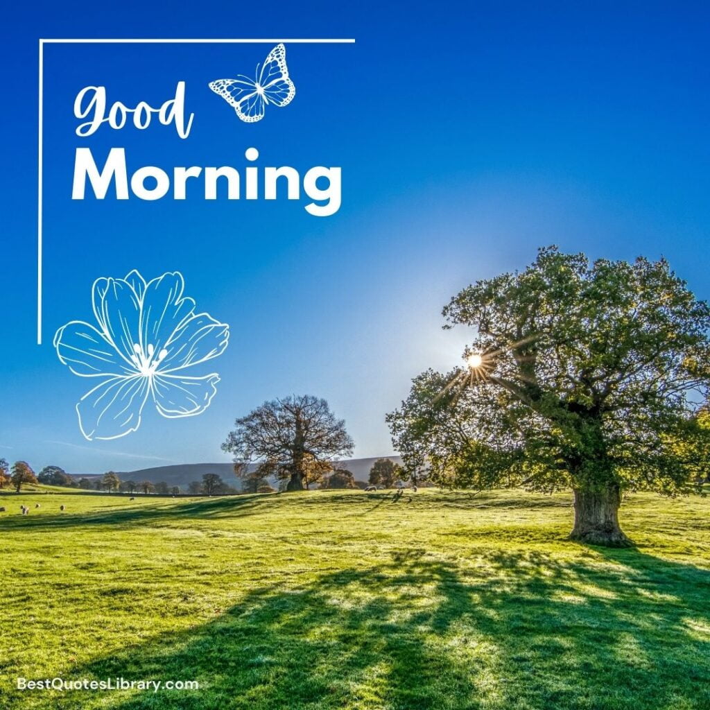 A beautiful morning nature with trees and grass with blue sky