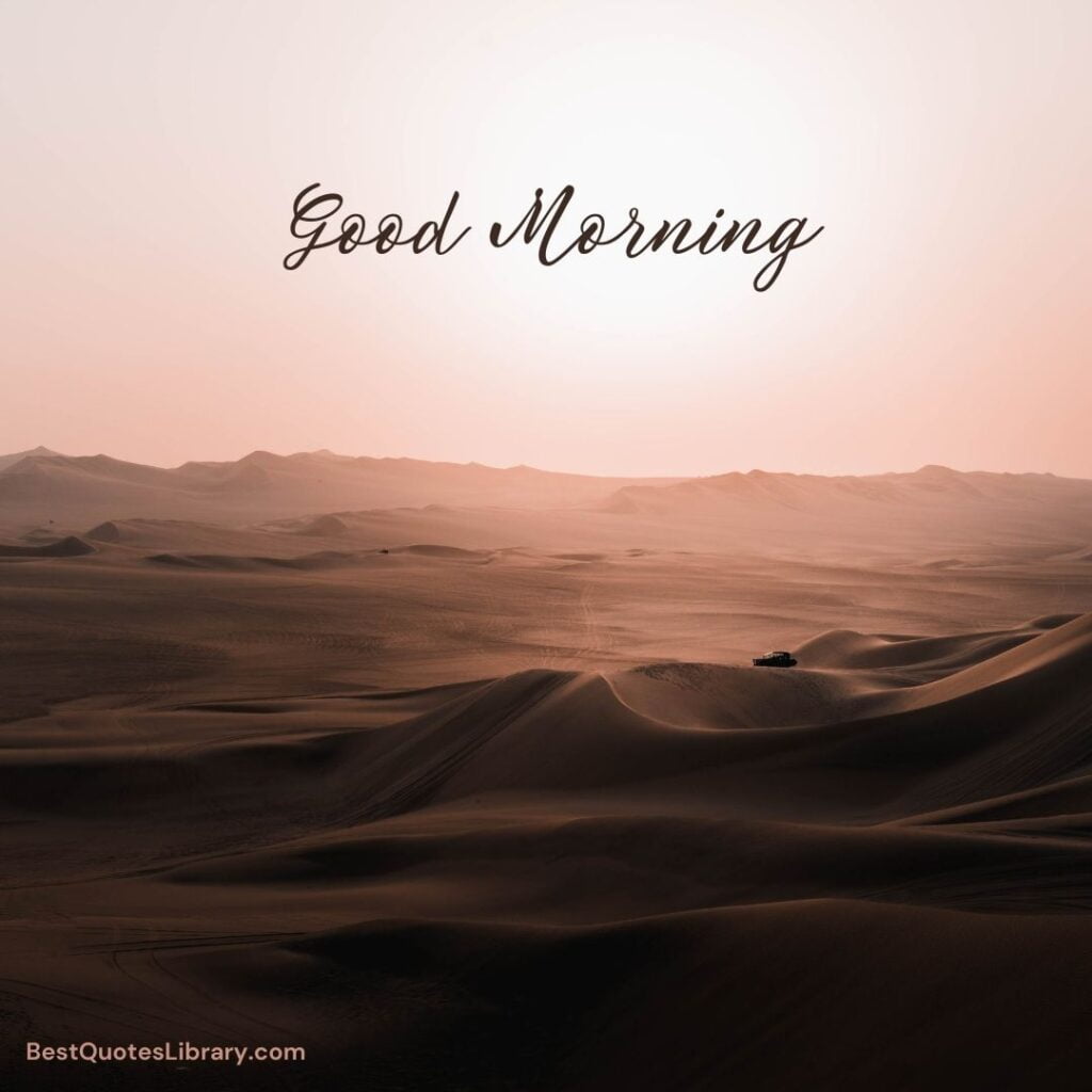 A morning nature in desert