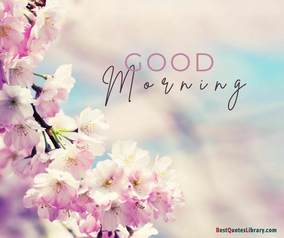 download free flower images cherry blossom wish good morning on bestquotelibrary