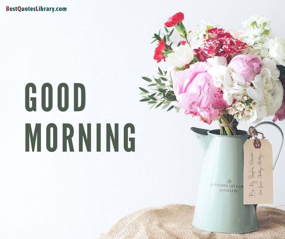 download free images flowers with flowerpot wishes good morning on bestquoteslibrary