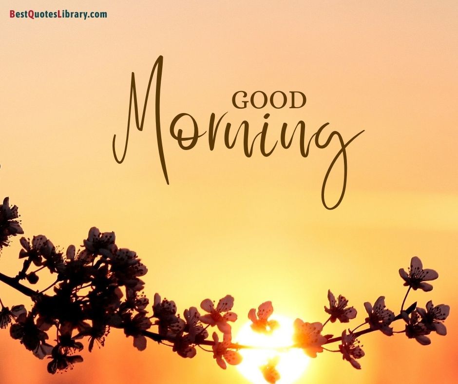 download free images from bestquoteslibrary of petaled flower with branches in sunrise wishes good morning