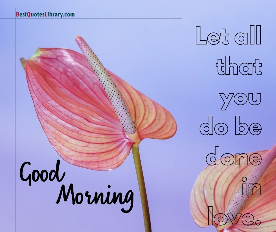download free images of flamingo flowers wish you good morning quotes on bestquoteslibrary