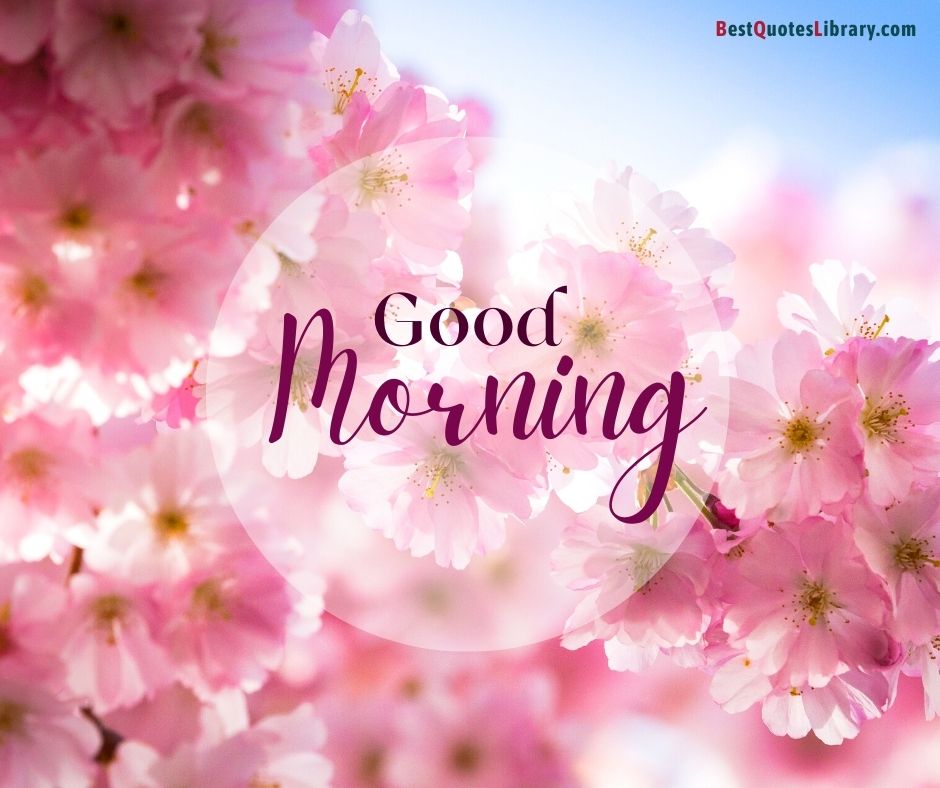 download free images of flowers wish good morning