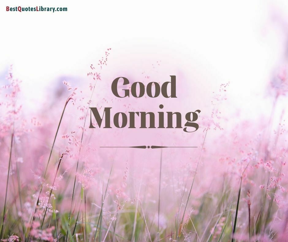 download free images of flowers wish good morning