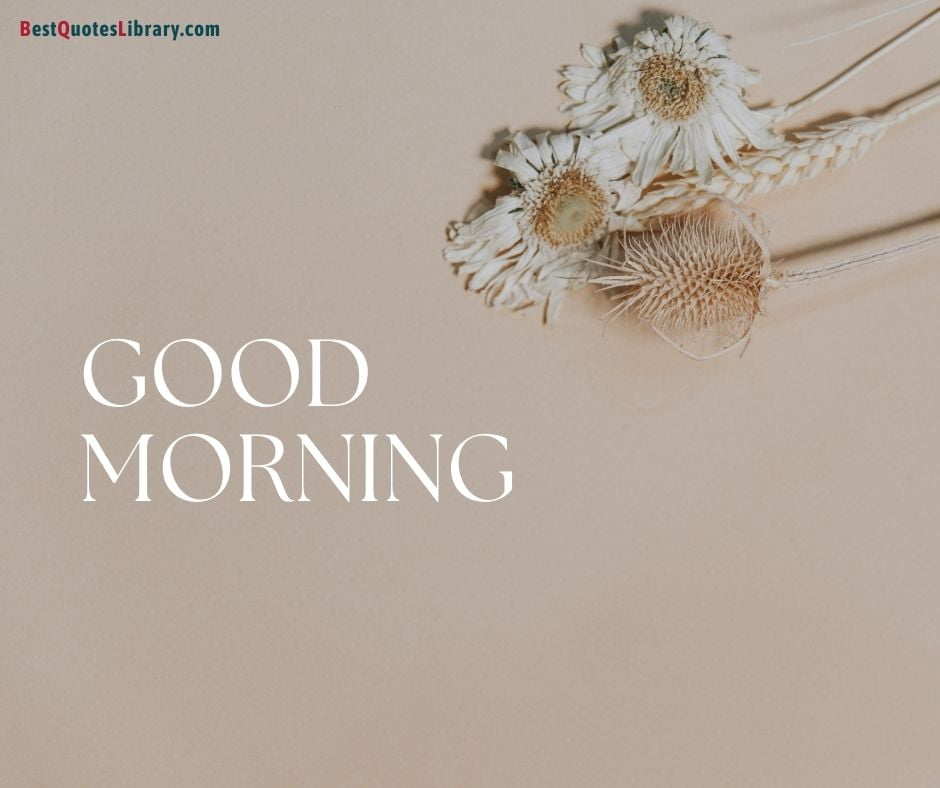 download free images of flowers wish you good morning on bestquoteslibrary with light brown color