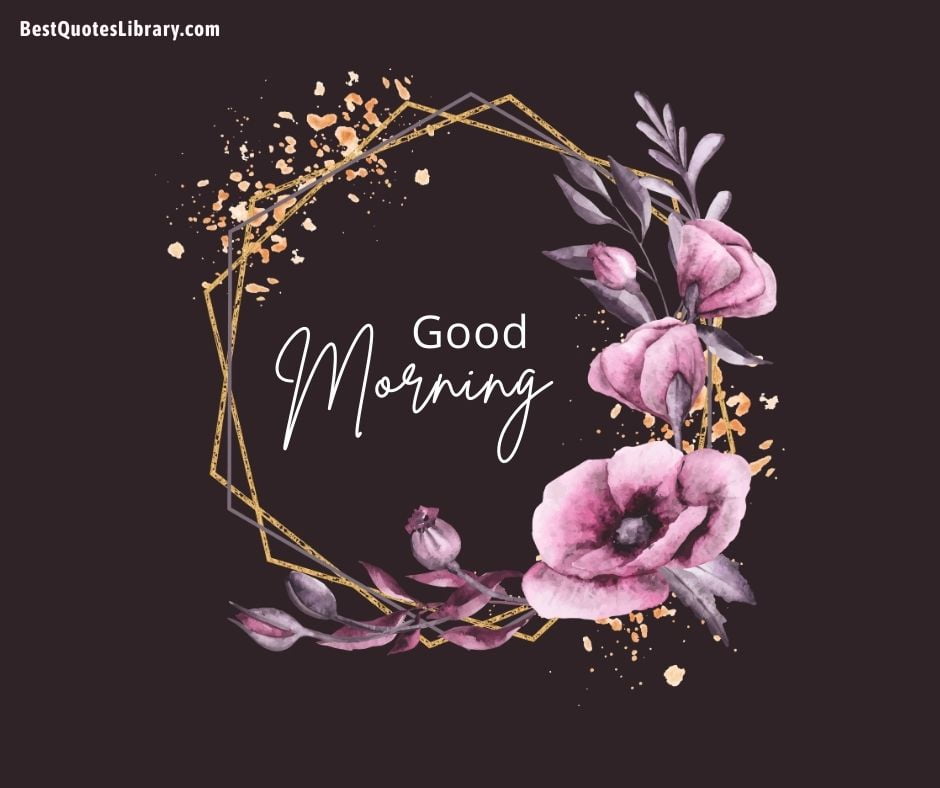 download free images of flowers wish you good morning with black background with petals