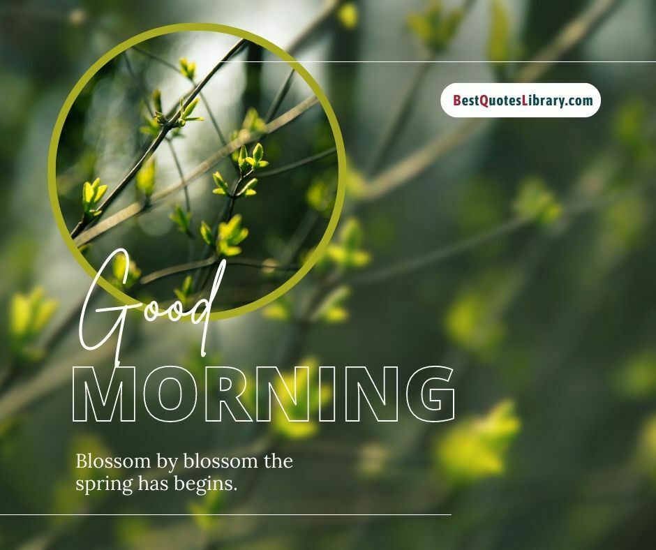 download free images of various flowers wish you good morning quotes with natural background on bestquoteslibrary