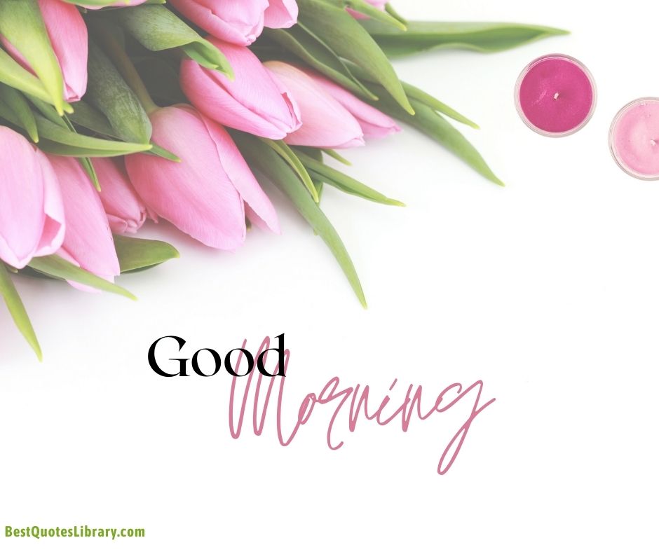 download free images oleander flowers wishes good morning on white background from bestquoteslibrary