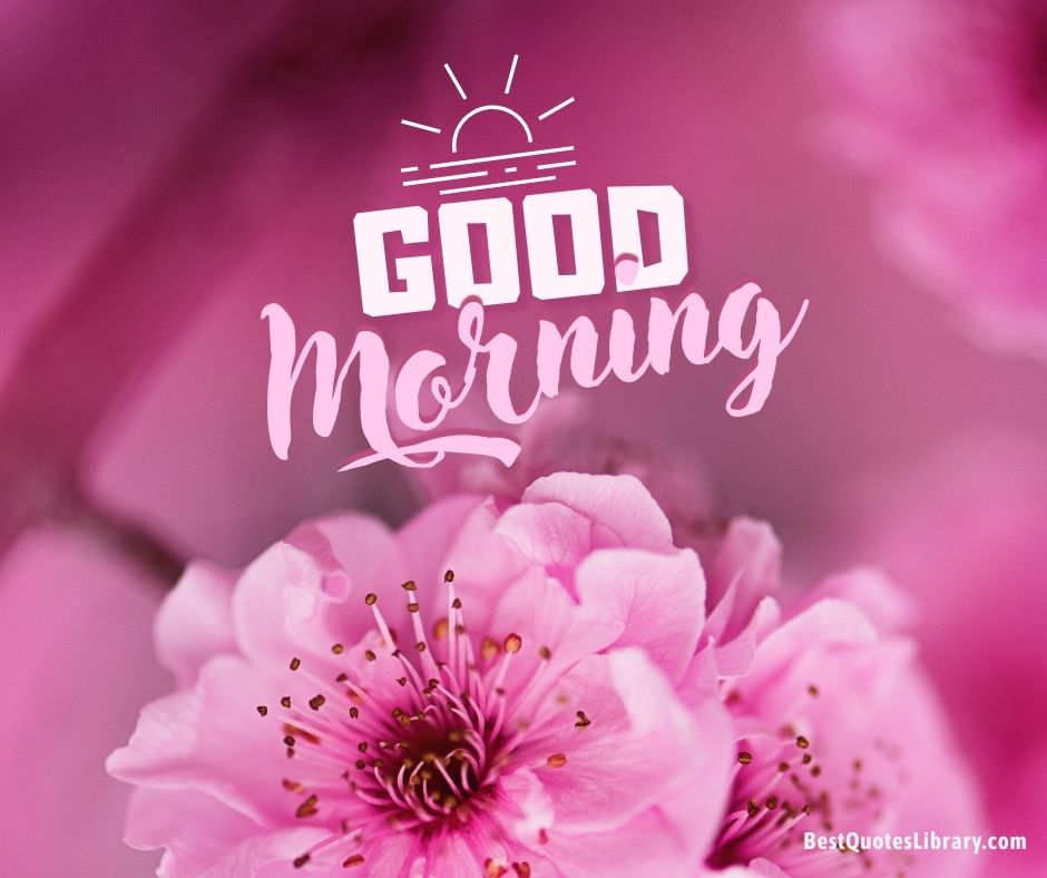 free download flower plum blossom images on bestquotelibrary wishing good morning