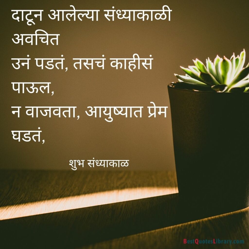 green plant in grey ceramic pot on wooden flooring in the evening with Marathi good evening quote