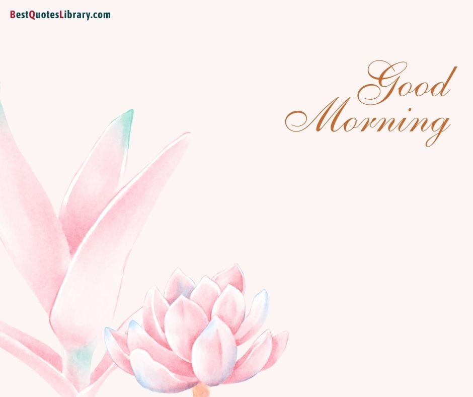 pink lotus flower wish good morning