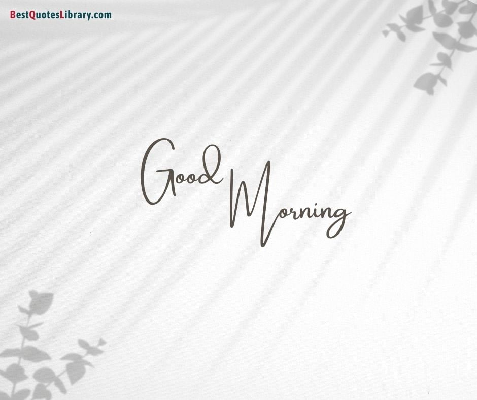 shadow of flowers and coconut leaf wish good morning with grey background